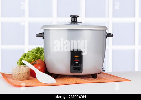 Attrezzatura da cucina; cuoci riso automatico Grigio. Foto Stock