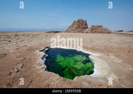 Pianura di sale con stagno salato e rocce di sale, Danakil depressione in Etiopia, Africa. Foto Stock