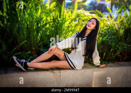 Bella giovane donna in abito maglione corto seduto sul muro con Ferns dietro di lei Foto Stock