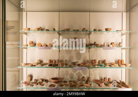 Le fave sparse - Museo Egizio Torino, Piemonte, Italia settentrionale - Europa Foto Stock