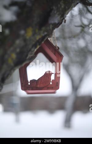 Primo piano di un alimentatore di uccelli su un albero sotto la neve nella foresta. Foto Stock