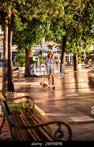 Attraente donna che cammina cane in città. Donna felice che indossa occhiali da sole e abiti casual mentre porta il suo cane fuori per una passeggiata. Foto Stock