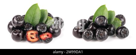 Chokeberry con foglie isolati su sfondo bianco. Nero bacche di Aronia Foto Stock