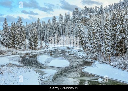 Lamar fiume in inverno al di sopra di slough creek nel parco nazionale di Yellowstone, wyoming Foto Stock