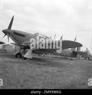 Hawker Sea Hurricane Mk Ib Z7015 alla collezione Shuttleworth, Old Warden. Foto Stock