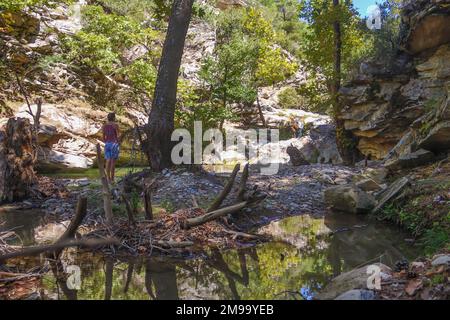 Giovane donna vestita con pantaloncini blu e camicia rosa e cappello estivo bianco, in piedi in un piccolo lago di foresta per godere di una bella natura e aria pulita Foto Stock