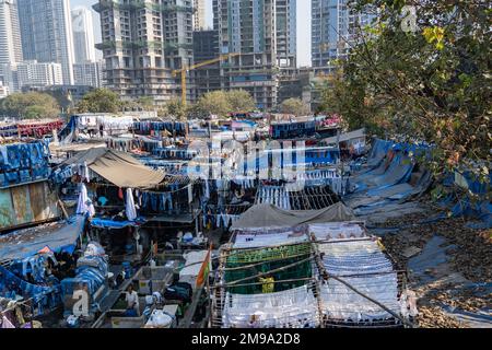 Incredibile vista del Dhobi Ghat a Mumbai, la lavanderia all'aperto più grande del mondo. Impressionante contrasto sociale con i grattacieli dello skyline. Foto Stock