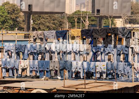 Incredibile vista del Dhobi Ghat a Mumbai, la lavanderia all'aperto più grande del mondo. Impressionante contrasto sociale con i grattacieli dello skyline. Foto Stock