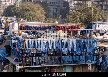 Incredibile vista del Dhobi Ghat a Mumbai, la lavanderia all'aperto più grande del mondo. Foto Stock