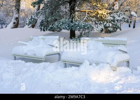 Panchine in legno nel parco cittadino coperte da uno spesso strato di neve, fredda giornata invernale innevata nel parco cittadino Foto Stock