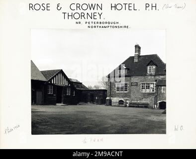 Fotografia di Rose & Crown PH, Thorney, Cambridgeshire. Il lato principale della stampa (mostrato qui) raffigura: Lato sulla vista del pub. Il retro della stampa (disponibile su richiesta) dettagli: Niente per The Rose & Crown, Thorney, Cambridgeshire PE6 0SB. A partire da luglio 2018 . Segnalato come chiuso . di proprietà individuale Foto Stock