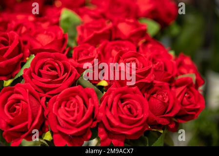 molte rose rosse , il concetto di san valentino , un bouquet di belle rose rosse Foto Stock