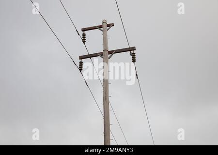 Fotografia di un palo verde in legno con una moltitudine di fili e connettori della trasmissione Foto Stock
