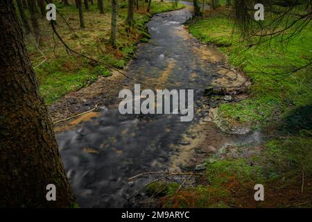 Fiume Feldaist nella valle vicino a Rainbach im Muhlkreis nella giornata invernale senza neve bianca Foto Stock