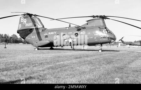 United States Navy - Boeing-Vertol CH-46D Sea Knight 152520 (msn 2141), di HC-8 a London Ontario il 6 marzo 1988. Foto Stock