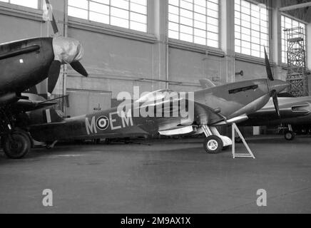 Supermarine Spitfire LF Mk.XVIE TE184 'M - EM', ex Royal Air Force, nella RAF Museum Reserve Collection a RAF Finningley, racchiuso tra l'unico superstite Boulton Paul Defiant, e un Avro 707. Foto Stock