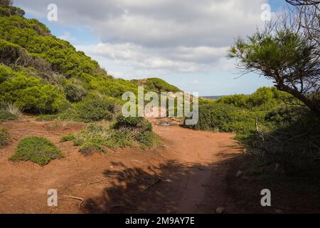 Cami de Valls, sentieri escursionistici di Minorca, GR 223, Algaiarens, isole Baleari, Spagna. Foto Stock