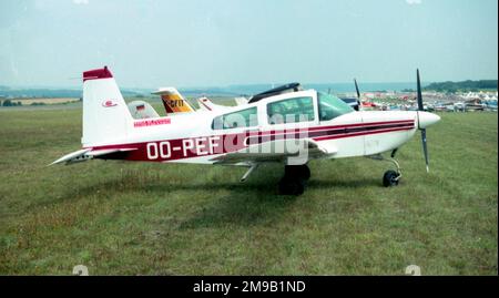 Grumman American AA-5B Tiger OO-PEF (msn AA5B-1128) Foto Stock