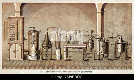 Apparecchiatura di distillazione a vapore Foto Stock