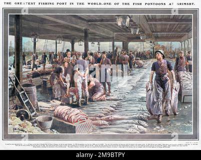 Un'illustrazione di ciò che è stato descritto nella sfera come "uno dei più grandi porti di pesca del mondo". Nel 1790 la popolazione era inferiore a 1.000 abitanti e nel 1907 era di 65.000 abitanti. In 1854 453 tonnellate di pesce sono state sbarcate, e al momento della foto, questo numero è stato spesso superato in un solo giorno. Il porto di Grimsby copre 100 ettari. Foto Stock