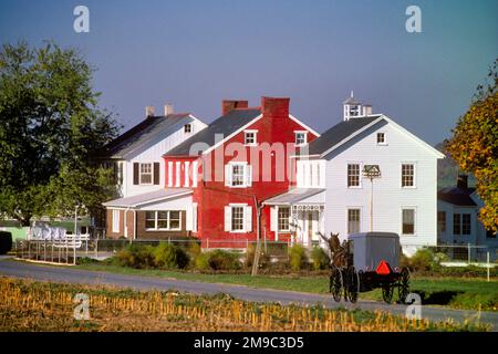 1980S AMISH CAVALLO E VAGONE SULLA STRADA DI CAMPAGNA PASSANDO DIVERSI CASALI IN MATTONI DI FRONTE STRADA LANCASTER COUNTY PA USA - 072701 RWN001 HARS LIBERTÀ GRANDANGOLO PASSANTE MAMMIFERI PROPRIETÀ LANCASTER E SCELTA PA IMMOBILIARE STRUTTURE CONCETTUALI KEYSTONE STATO VAGONI ALLA MODA EDIFICIO SEMPLICE VITA AGRITURISMI MAMMIFERO PENNSYLVANIA OLANDESE DIVERSI TOGETHERNESS VECCHIO STILE Foto Stock