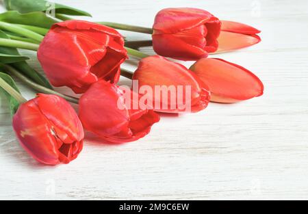 Tulipani rossi su tavolo di legno bianco. Vista dall'alto. Foto Stock