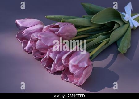 bel bouquet di tulipani viola su sfondo viola con spazio copia Foto Stock