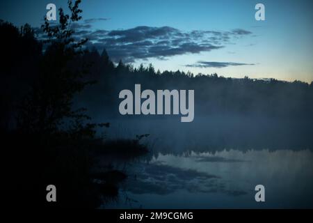 Nebbia sul lago prima dell'alba. Nebbia mattutina nella foresta. Foto Stock