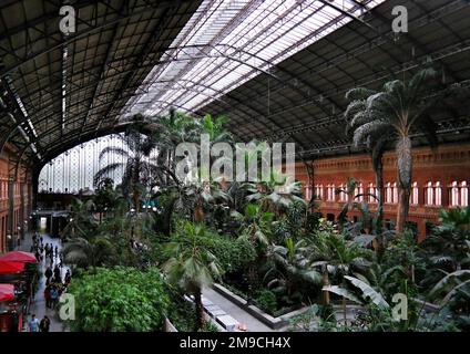 Madrid, Spagna, maggio. 2020: Giardino botanico all'interno dell'edificio della stazione ferroviaria Puerta De Atocha di Madrid. Le principali città della Spagna sono collegate da treni Foto Stock