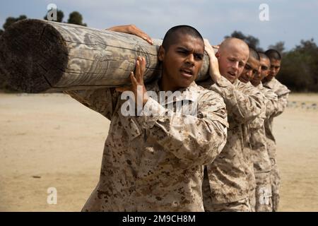 U.S.Marine Corps Recruits con Echo Company, 2nd Recruit Battalion eseguire un log drill spalla destra tenere su Marine Corps Recruit Depot San Diego, maggio 16. 2022. Il trivello di ceppo è un'esercitazione usata per costruire il lavoro di squadra e la resistenza dell'unità fra i marines. Foto Stock