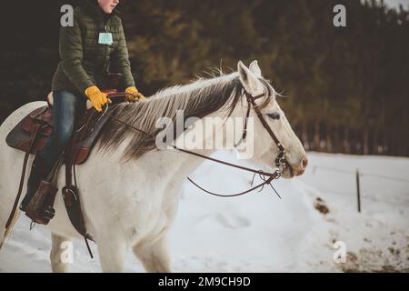 Ragazza teen cavallo bianco in inverno Foto Stock