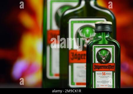 KIEV, UCRAINA - 4 MAGGIO 2022 Jagermeister bottiglia di alcol originale su tavolo di legno con camino rosso sullo sfondo. Produzione di alcool Elite Foto Stock