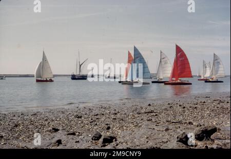 Barche con vele di colore diverso a Burnham su Crouch, Essex. Foto Stock