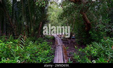 Vista Su Un piccolo ponte pedonale, che conduce a Un Creek e si trova nella foresta Foto Stock