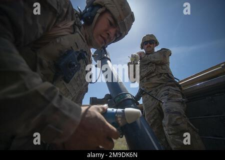 La Guardia Nazionale dell'Idaho Sgt.Tristan Gillaspy (a sinistra) e Sgt. Tygh Tennis si preparano per il tiro. Il mortaio Platoon, HHC, 2-116th Combined Arms Battalion della Guardia Nazionale dell'Idaho Army, affina le proprie competenze preparandosi al dispiegamento a sostegno dell'operazione Spartan Shield. Foto Stock