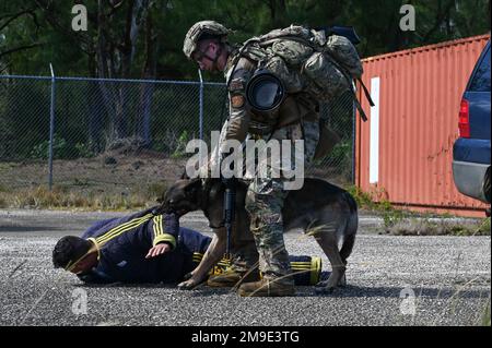 STATI UNITI Tyler George, operatore militare di cane assegnato allo Squadrone delle forze di sicurezza 354th, Eielson Air Force base, Alaska, tira la sua MWD, Hank, fuori da un'auto dopo un'estrazione durante l'Advanced Combat Skills Assessment on Andersen Air Force base, Guam, 18 maggio 2022. Dopo l'estrazione della vettura, il team MWD ha dovuto riportare il Decoy al punto di partenza. Foto Stock