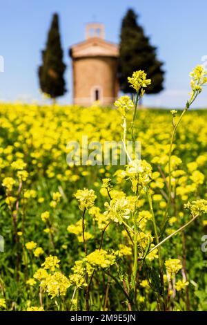 Cappella della Madonna di Vitaleta, famosa cappella della Val d'Orcia in Toscana, in primo piano. Foto Stock