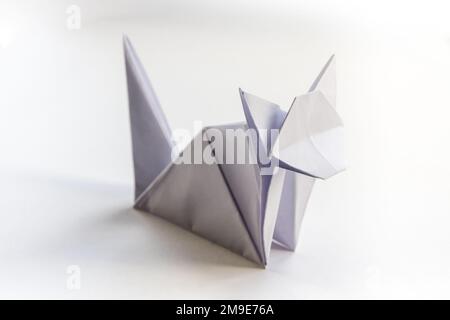 Carta gatto origami isolato su uno sfondo bianco vuoto. Foto Stock