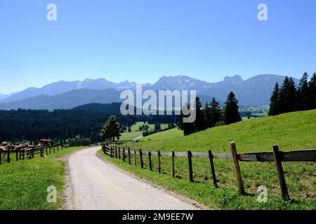 Una strada di campagna lungo la recinzione in legno e il campo con le montagne sullo sfondo Foto Stock