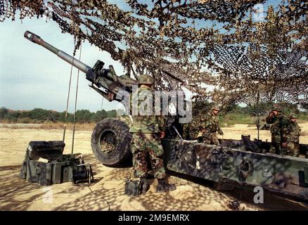 Vista posteriore lato sinistro ripresa media di un US Marine M198 155mm Howitzer come cannoni marini da Lima Battery, 3rd Battaglione, 12th Marines, da Camp Hansen, Okinawa, Giappone, fuoco un giro di artiglieria. Questo esercizio di allenamento si è svolto presso l'Ojojihara, Japan Range Artillery Relocation Shoot. Subject Operation/Series: OJOJIHARA ARTILLERY RELOCATION SHOOT base: Ojojihara base Camp Paese: Giappone (JPN) Foto Stock