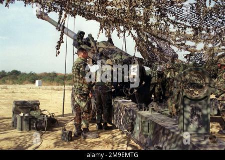 Vista posteriore lato sinistro ripresa media di un US Marine M198 155mm Howitzer come cannoni marini da Lima Battery, 3rd Battaglione, 12th Marines, da Camp Hansen, Okinawa, Giappone, preparatevi a sparare un giro di artiglieria nell'Howitzer. Questo esercizio di allenamento si è svolto presso l'Ojojihara, Japan Range Artillery Relocation Shoot. (Scatto in orizzontale). Subject Operation/Series: OJOJIHARA ARTILLERY RELOCATION SHOOT base: Ojojihara base Camp Paese: Giappone (JPN) Foto Stock