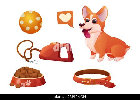 Set accessorio corgi cane seduta, adorabile animale, ciotola con cibo, guinzaglio in stile cartone isolato su sfondo bianco. Carattere emotivo comico, posa divertente. Illustrazione vettoriale Illustrazione Vettoriale