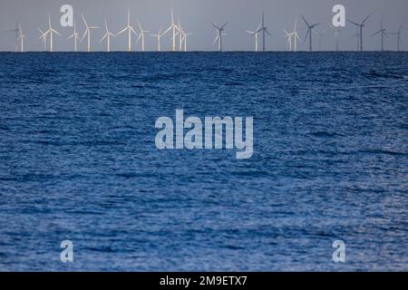 Llandudno, Galles. Gwynt y Môr (gallese: Vento di mare) è una fattoria eolica offshore di 576 megawatt (MW) situata al largo della costa del Galles. Foto Stock