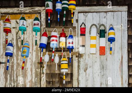 Colorate boe di aragosta appese su una parete intempericata di una vecchia baracca da pesca nel porto di Rockport, Massachusetts, New England, USA Foto Stock