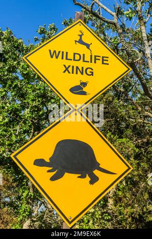 Cartello stradale giallo di attraversamento della fauna selvatica, Long Island, New York state, USA Foto Stock