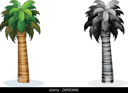 Alberi di palma tropicali, luminoso decor tropicale. Illustrazione di un cartoon piatto stile vettoriale isolato su sfondo bianco Illustrazione Vettoriale