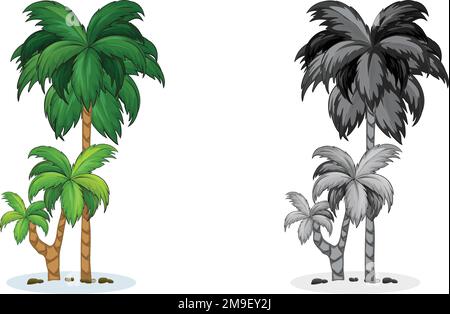 Alberi di palma tropicali, luminoso decor tropicale. Illustrazione di un cartoon piatto stile vettoriale isolato su sfondo bianco Illustrazione Vettoriale