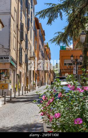 Via laterale a Frascati, Lazio, Italia Foto Stock
