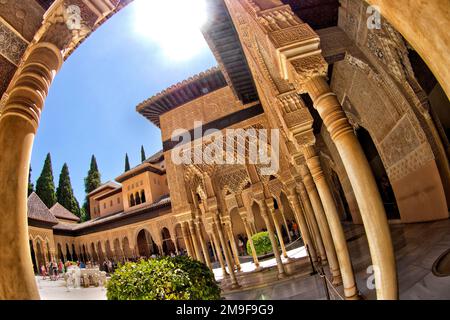Cortile dei Lions, palazzi nazisti, la Alhambra, patrimonio dell'umanità dell'UNESCO, Granada, Andalucía, Spagna, Europa Foto Stock