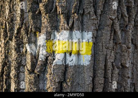 simbolo di un sentiero escursionistico su albero Foto Stock